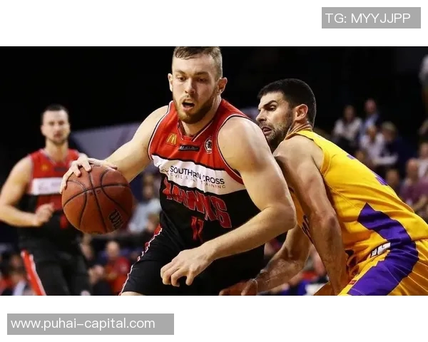 华斯兰德与布鲁日对决前瞻分析及比赛结果预测