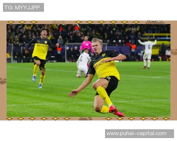 哈兰德的崛起：如何改变足球界的未来与格局