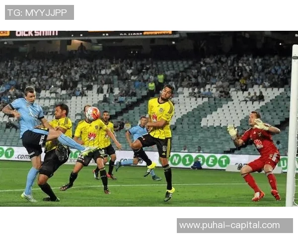 精彩对决直播墨尔本胜利对阵惠灵顿凤凰全场赛事分析与精彩瞬间回顾