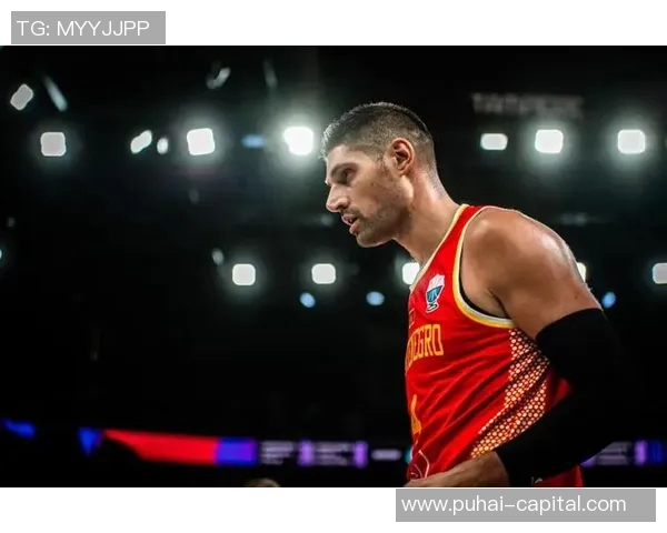 尼古拉武切维奇的艺术之旅与影响力探讨